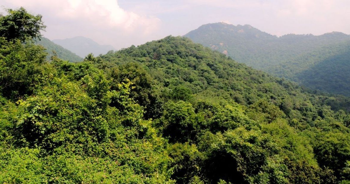 Vellore to Amirthi Forest
